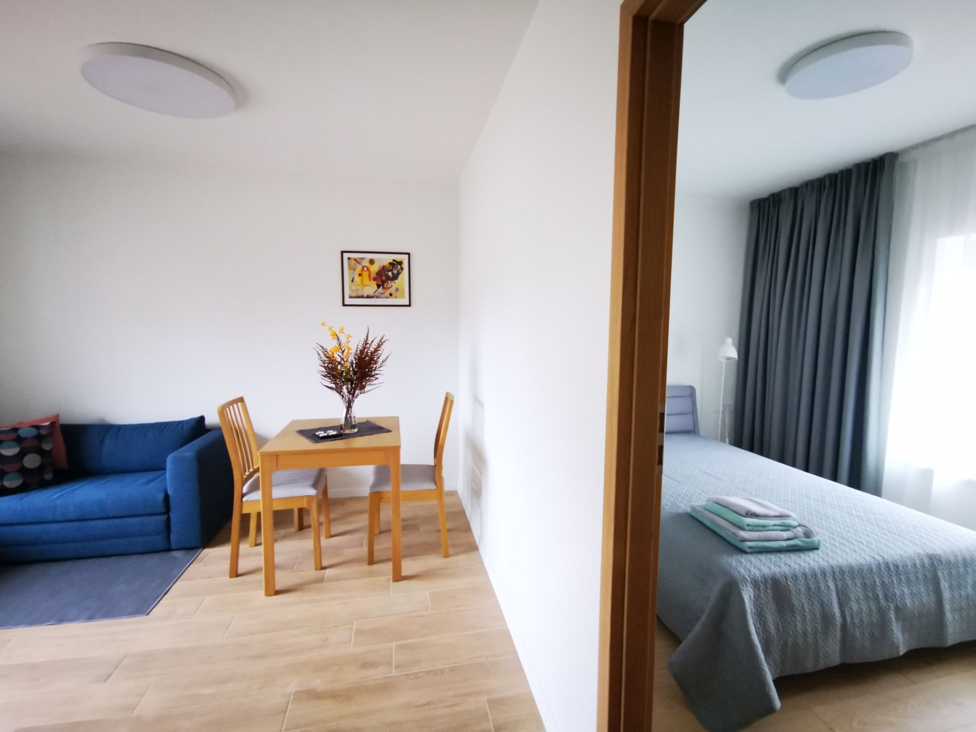 Confi Apartment Living Space